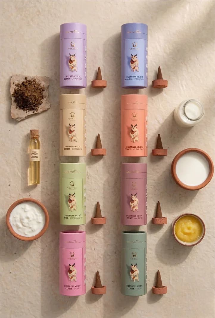 Meditation